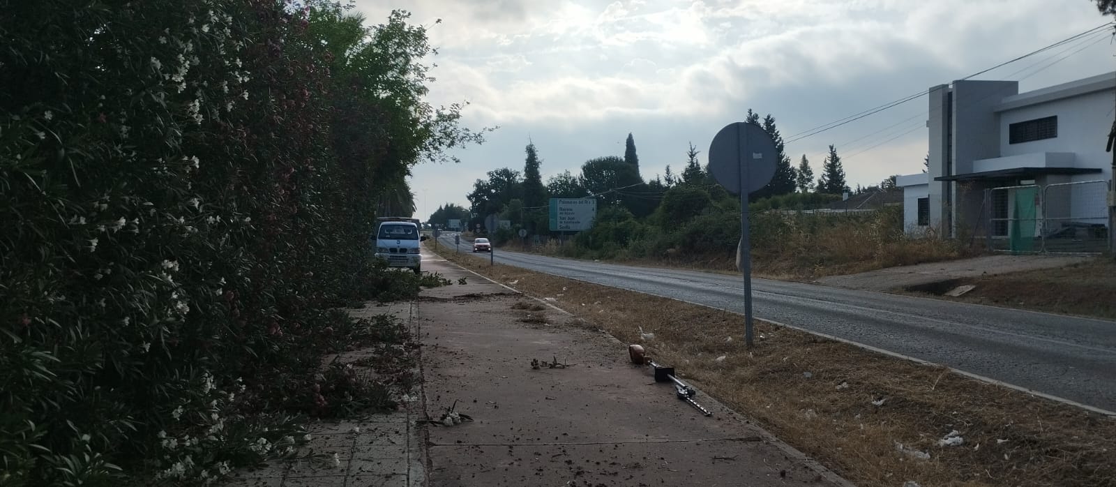 Adecentamiento y Mantenimiento en el Parque de San Antonio y Pasarela Vista Aljarafe