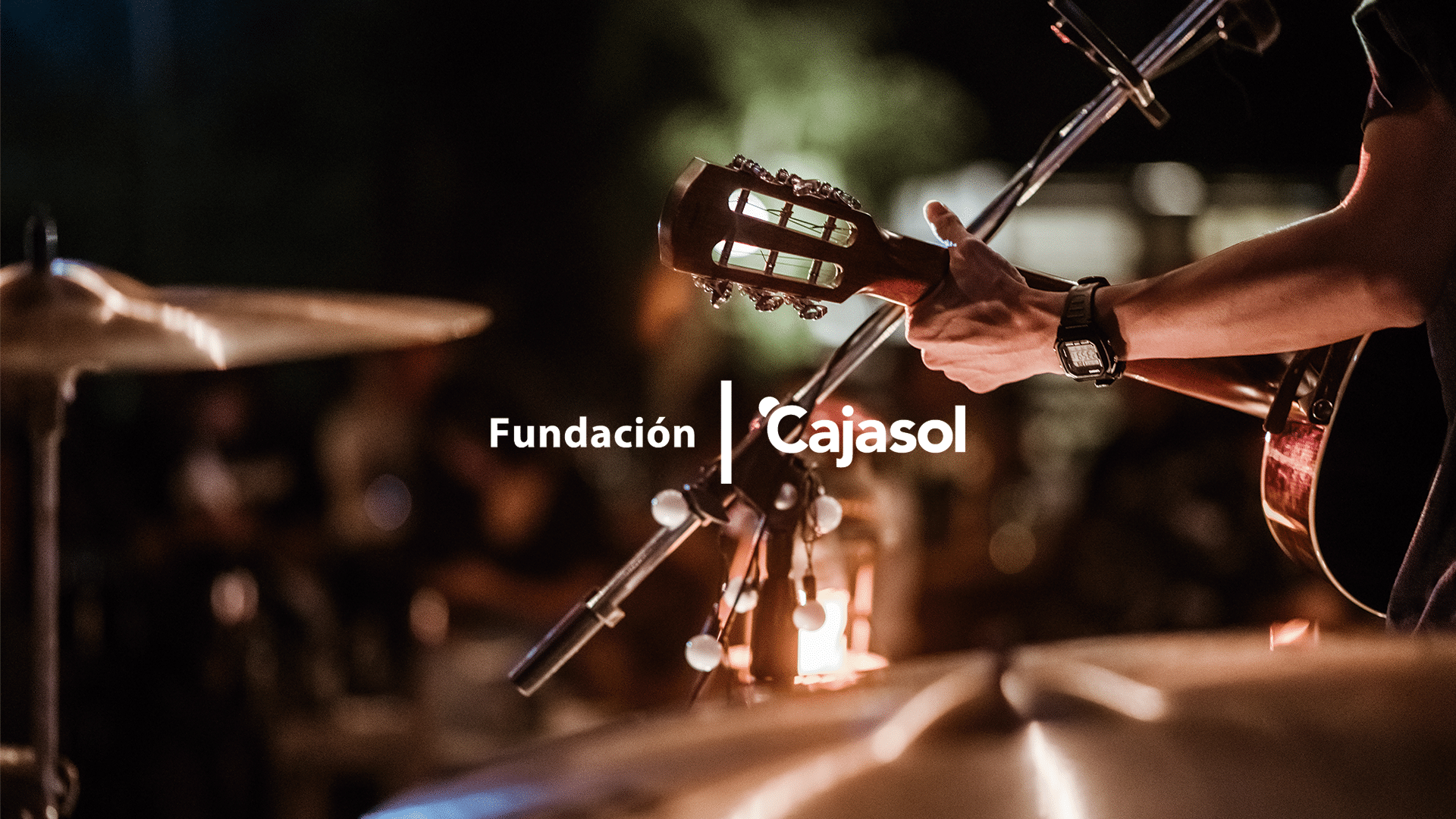 Disfruta de tu verano en Fundación Cajasol