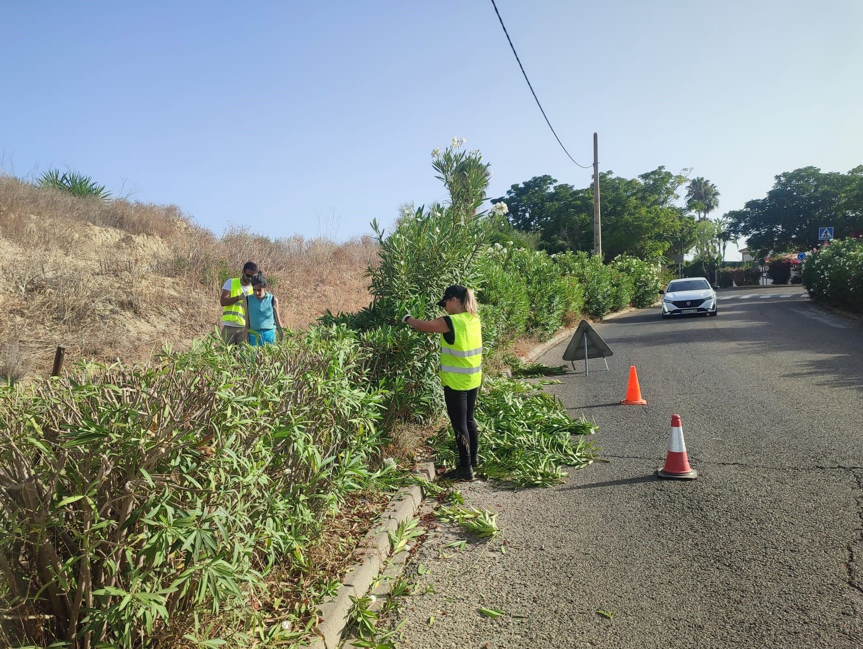 Continúan las labores de jardinería por todo el municipio