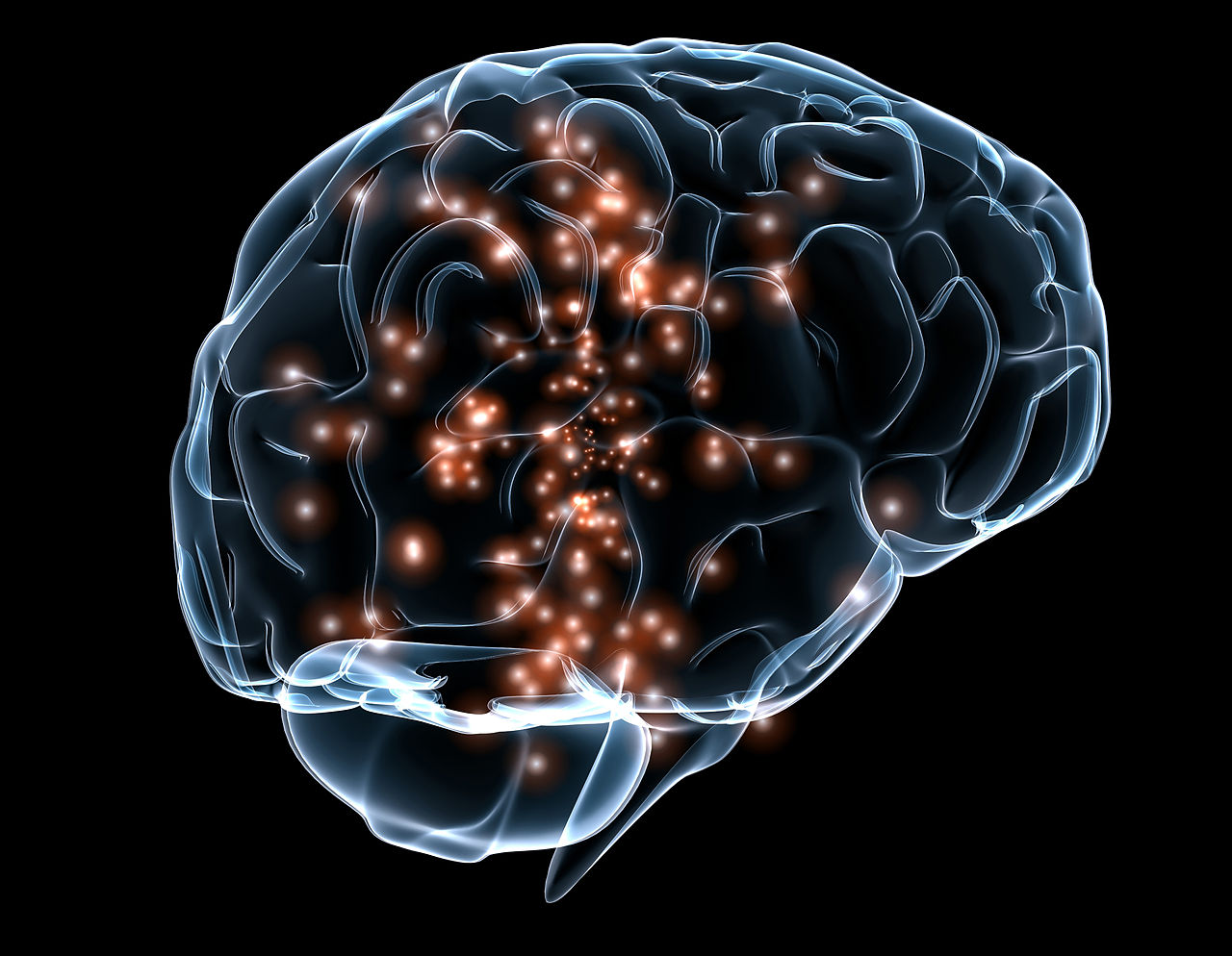 Un estudio revela cómo diferentes áreas del cerebro procesan información cognitiva y motora