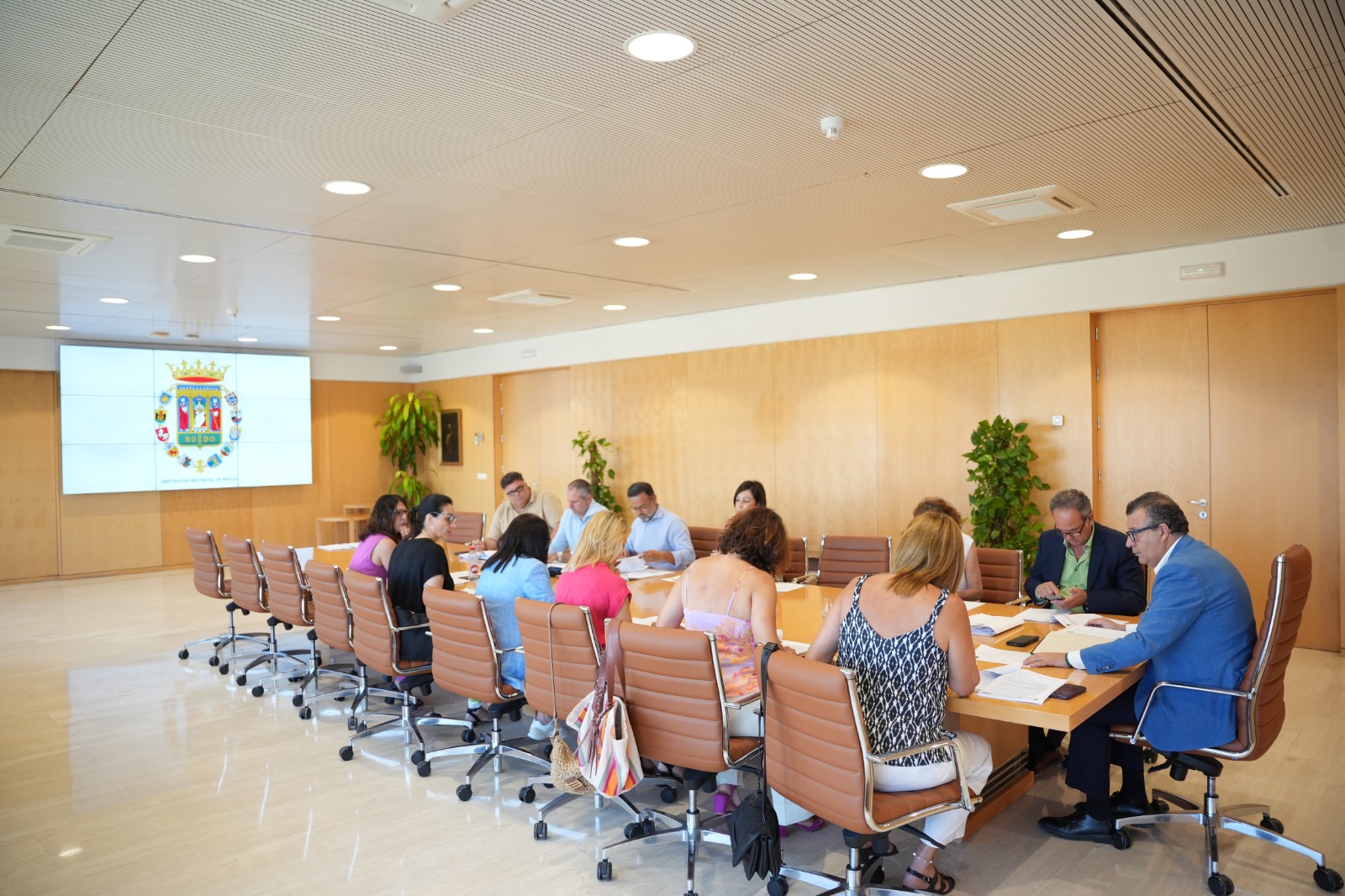 20M€ del Plan Más Sevilla Social de la Diputación para la prevención de la exclusión social a través del empleo temporal por los municipios y para la gestión municipal de la emergencia social