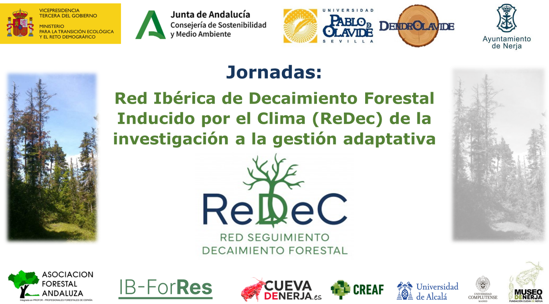 Primeras Jornadas Nacionales sobre el decaimiento forestal en la península Ibérica
