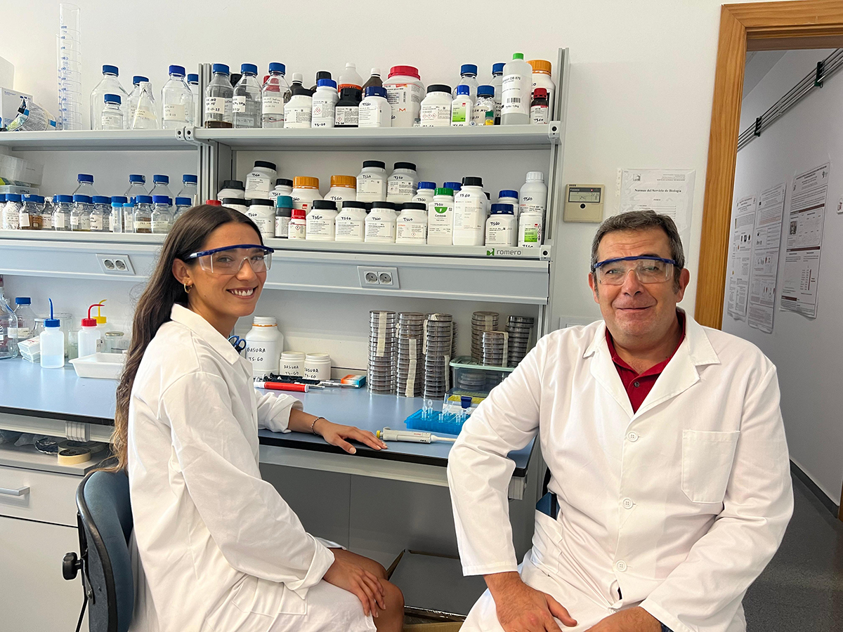 Un compuesto de la dieta que aumenta la longevidad y protege contra una patología del Alzheimer en modelos experimentales