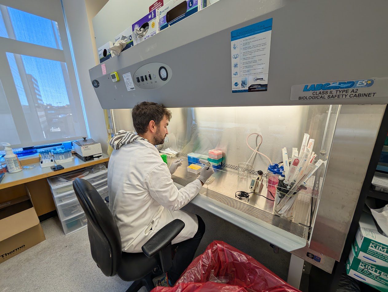 “Mi sensación es que las posibilidades en Harvard son infinitas”