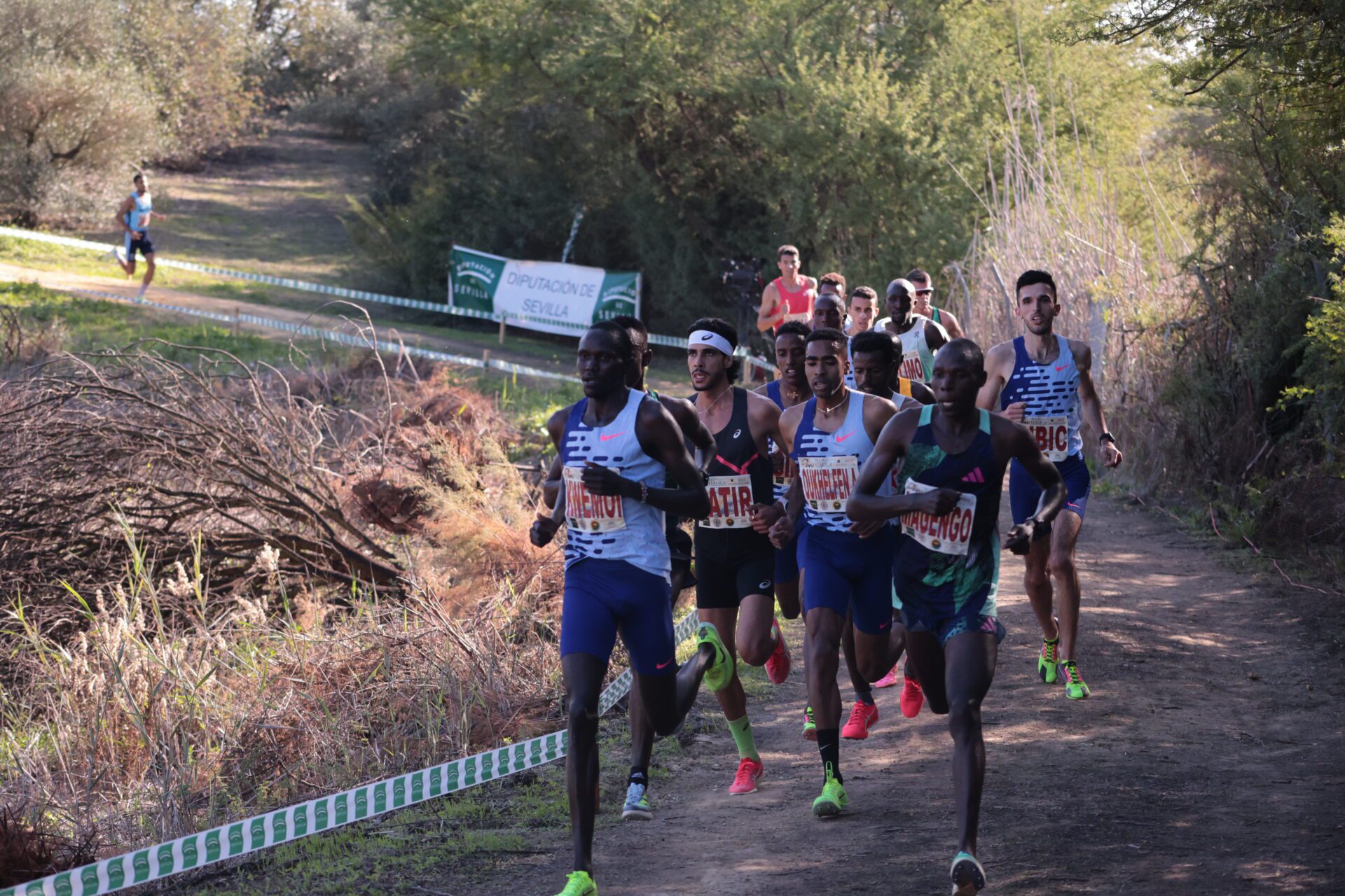 Aregawi y Chebet, dos megaestrellas para Itálica