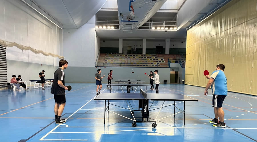 Compite con la Universidad de Sevilla