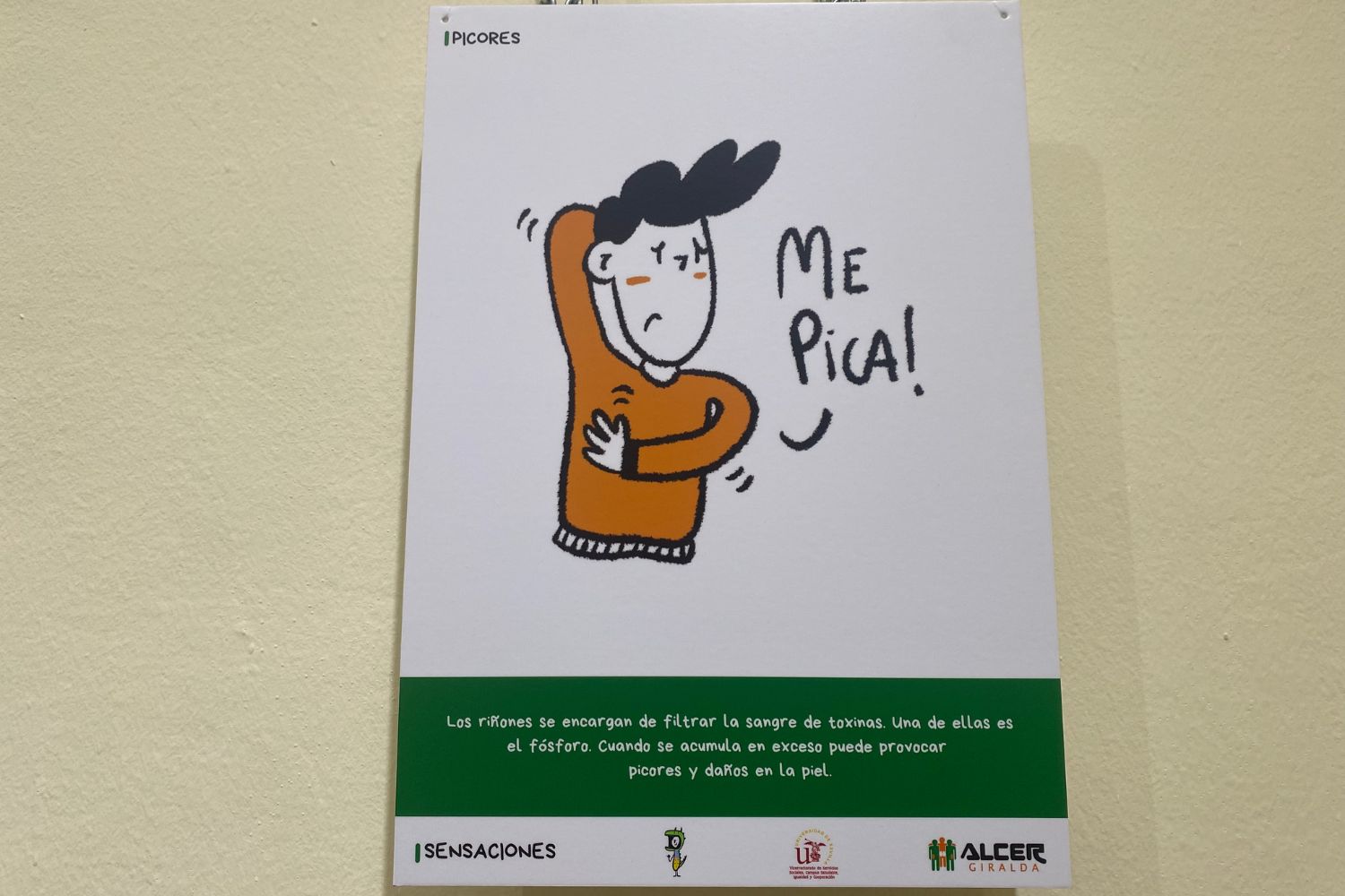 La Universidad de Sevilla y ALCER Giralda presentan una exposición sobre la salud renal