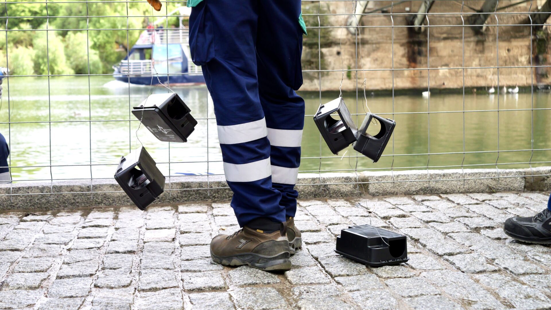 El Ayuntamiento de Sevilla inicia un nuevo plan intensivo de desratización duplicando la inversión para combatir plagas