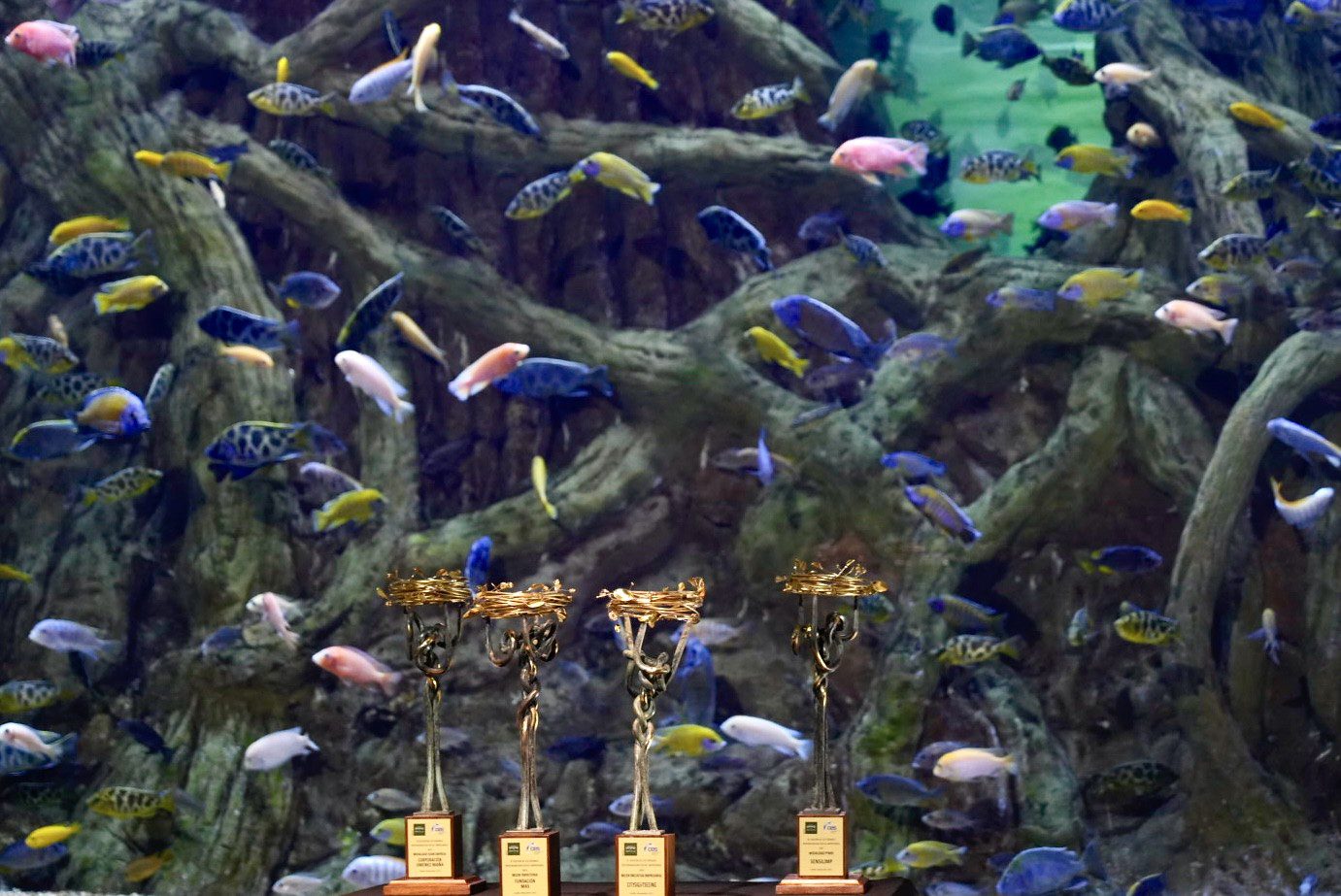 Martín Casillas, OGA, Tutechó y Cristobal Martínez Fernández, galardonados con los Premios de Responsabilidad Social Empresarial y Sostenibilidad 2024