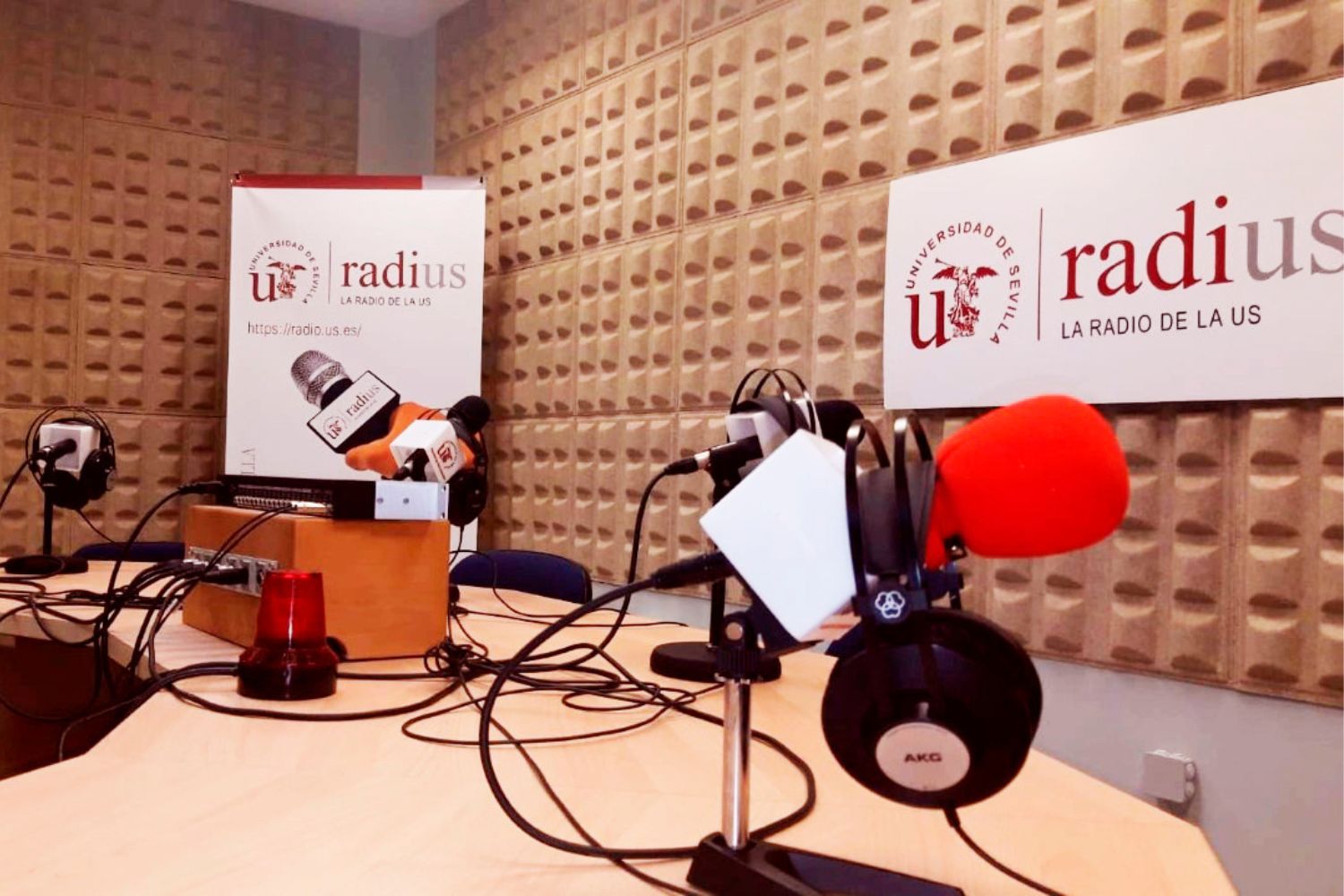 De la lucha sindical a la herencia africana: las historias que llegan esta semana a RadiUS