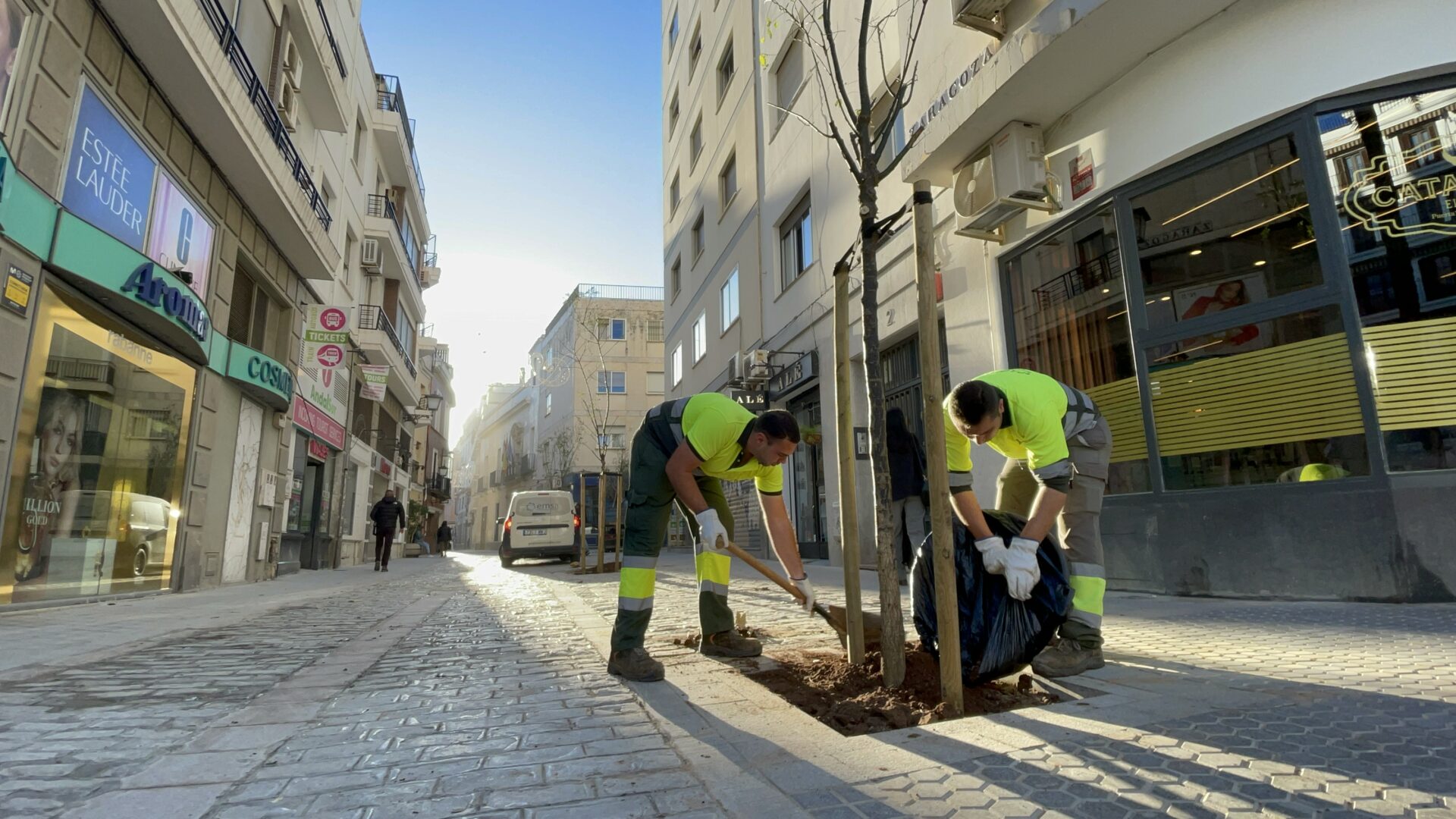 El Gobierno de Sanz planta los primeros árboles de una calle Zaragoza que ya luce casi en su totalidad el adoquín de Gerena y una estética acorde al Casco Histórico