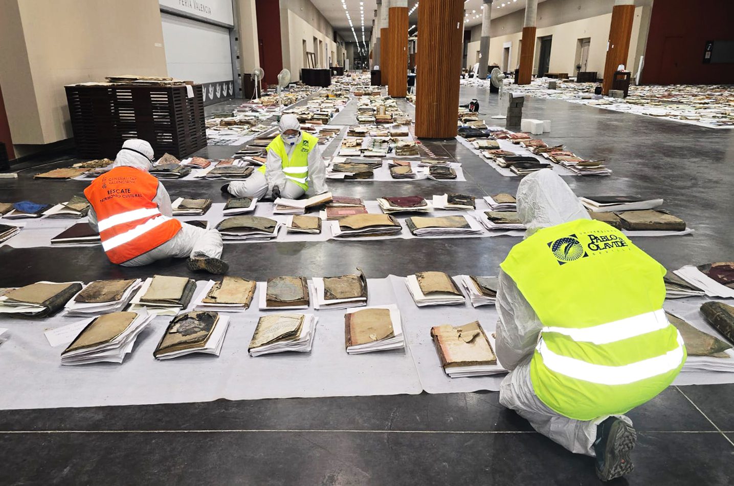 Investigadoras de la UPO colaboran en la recuperación de libros y documentos dañados por la DANA