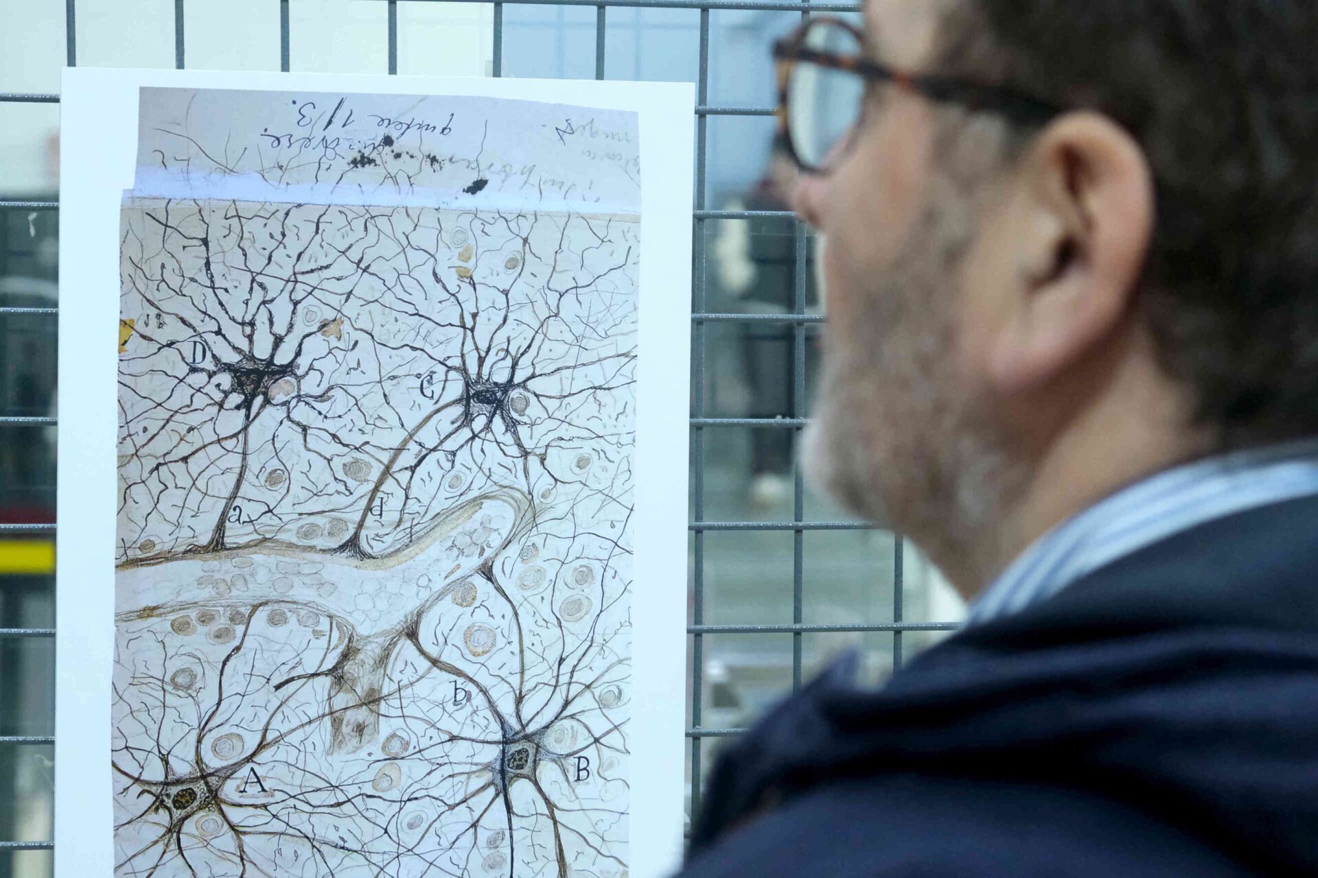 Una exposición muestra con dibujos de Cajal sus huellas en la Universidad de Sevilla