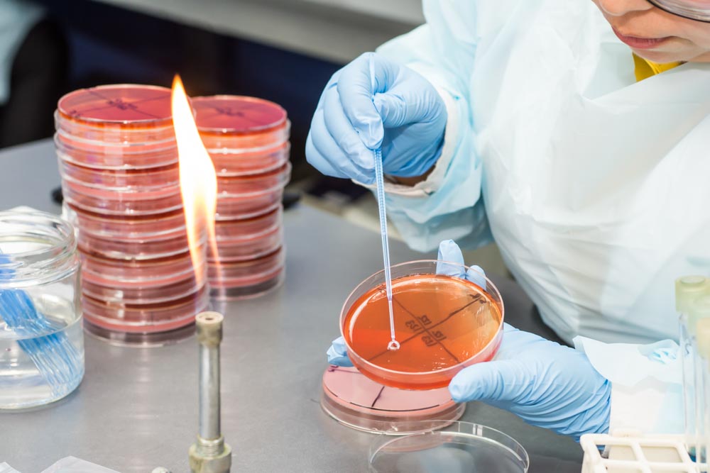 Una herramienta predictiva del rendimiento de los suelos para el cultivo del olivo