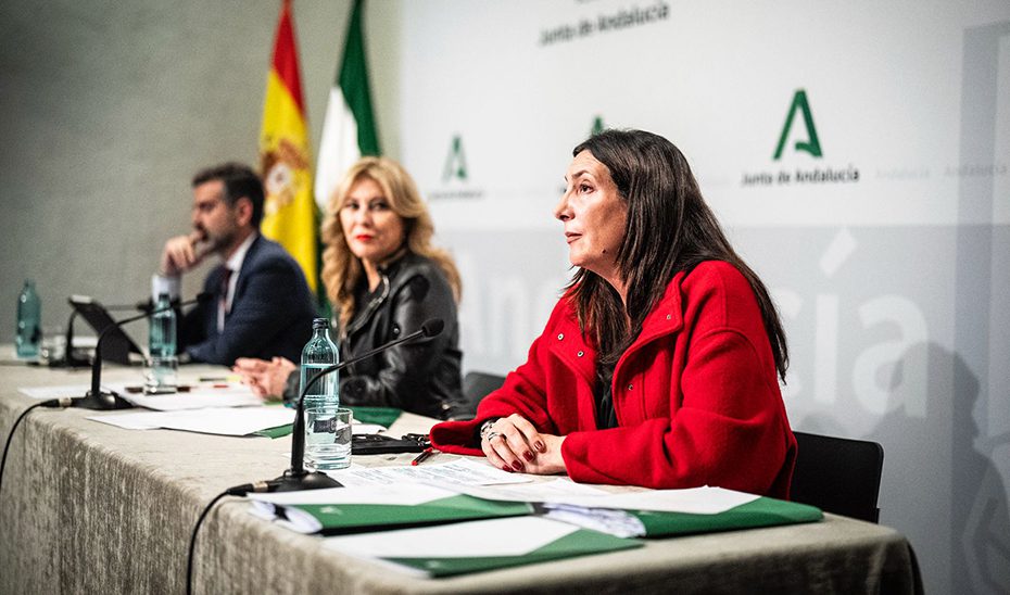 La Junta reclama al Gobierno planificación y coordinación ante la crisis migratoria