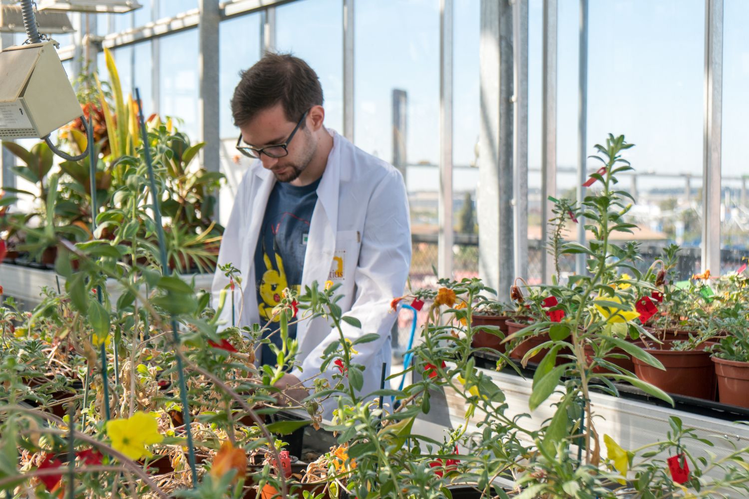 La mayoría de la ciencia andaluza se hace en las universidades públicas