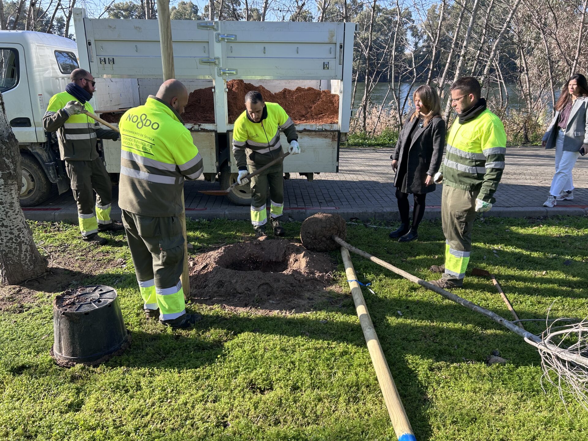 El Gobierno de Sanz refuerza el patrimonio verde del Parque de San Jerónimo con 60 nuevos árboles dentro de su campaña de plantación