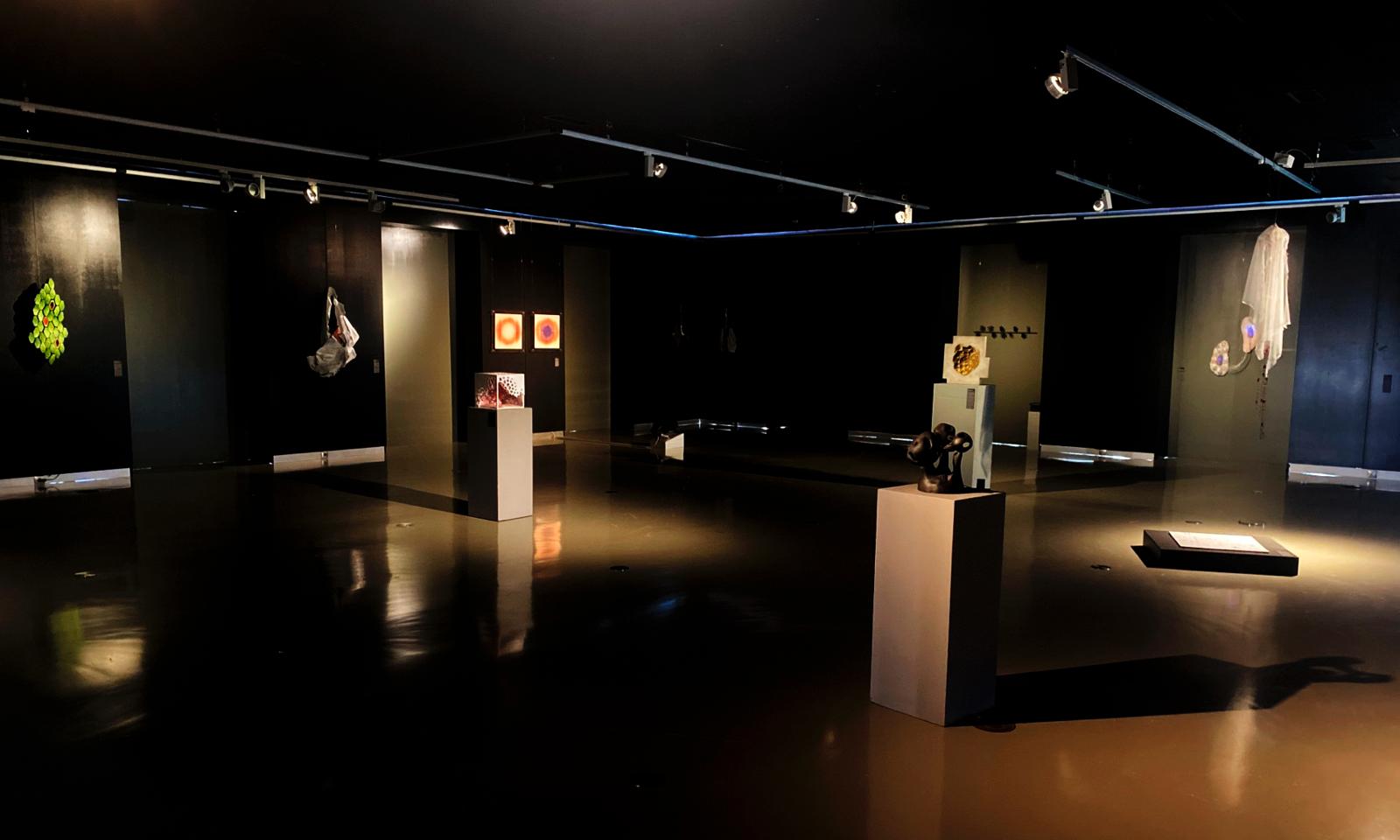 La exposición ‘La inmolación de las células’ llega al emblemático espacio ‘Los Claustros de Santo Domingo’ (Jerez)