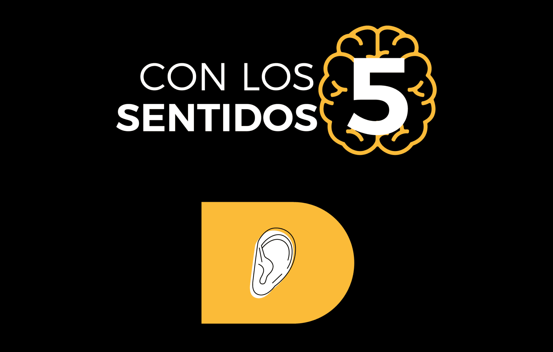 ‘Con los 5 sentidos’: un viaje sensorial en la Fundación Cajasol en Cádiz