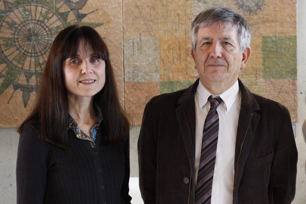 Un estudio revela cómo el cerebro decide entre alimentación e interacción social   La investigación, realizada por la División de Neurociencias de la UPO, ha identificado qué áreas cerebrales participan en la toma de decisiones cuando un individuo debe elegir entre obtener comida o interactuar con otros