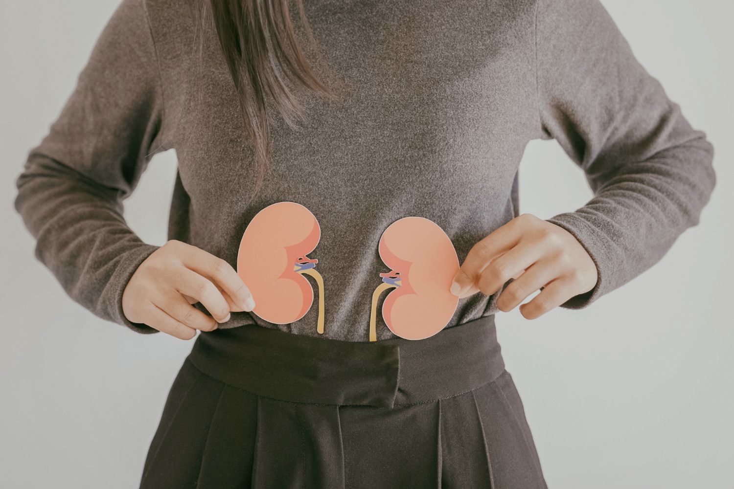 La Universidad de Sevilla se une al Día Mundial del Riñón con acciones de concienciación