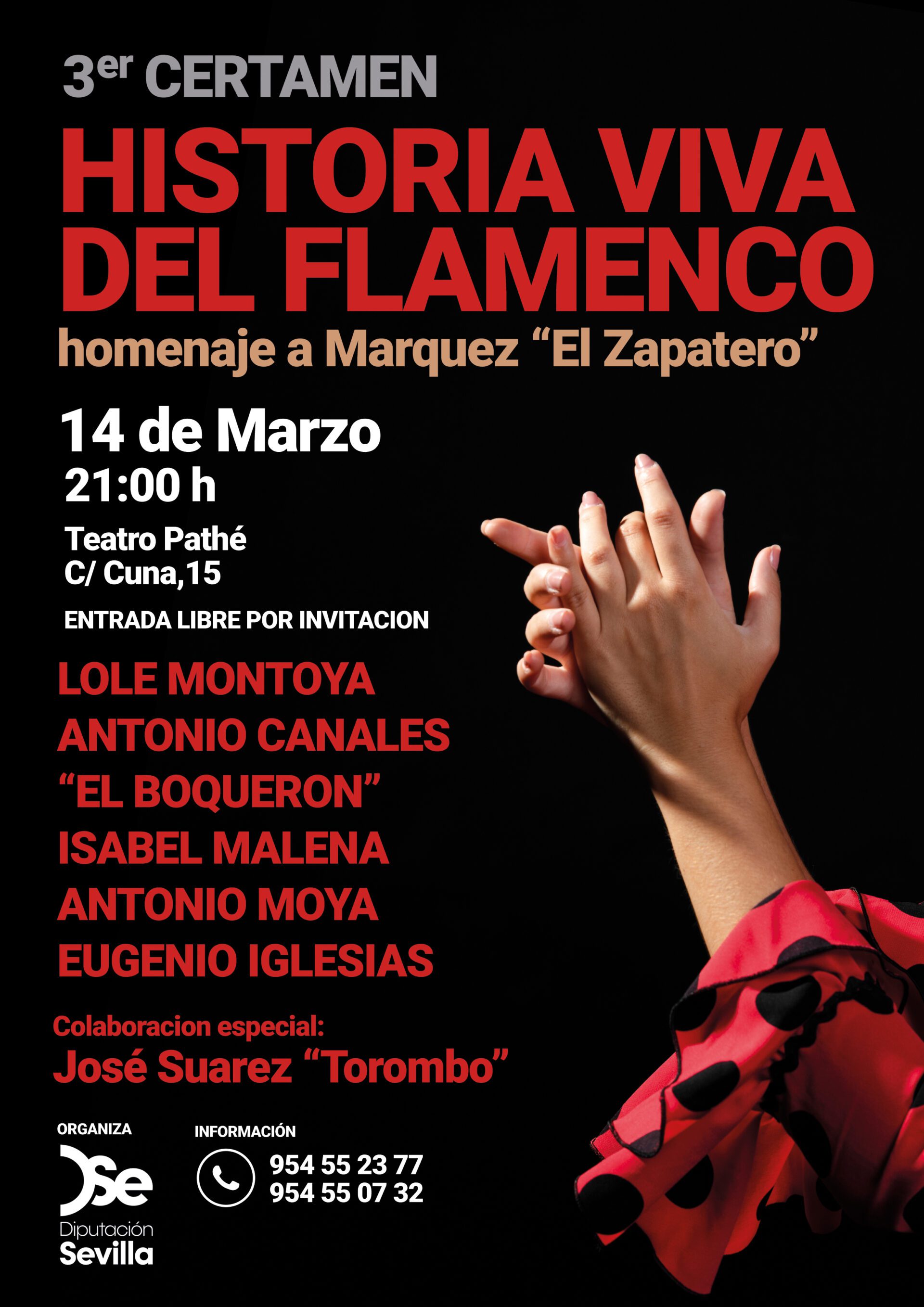 Tercer certamen ‘Historia Viva del Flamenco’ de la Diputación de Sevilla