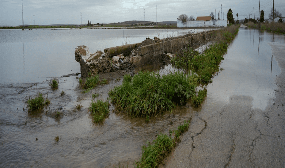 La Junta autoriza el regreso a casa de los vecinos desalojados en El Palmar de Troya en Sevilla