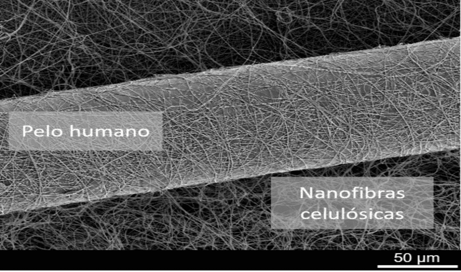 Investigadores andaluces logran obtener lubricantes sostenibles a partir de nanofibras de celulosa