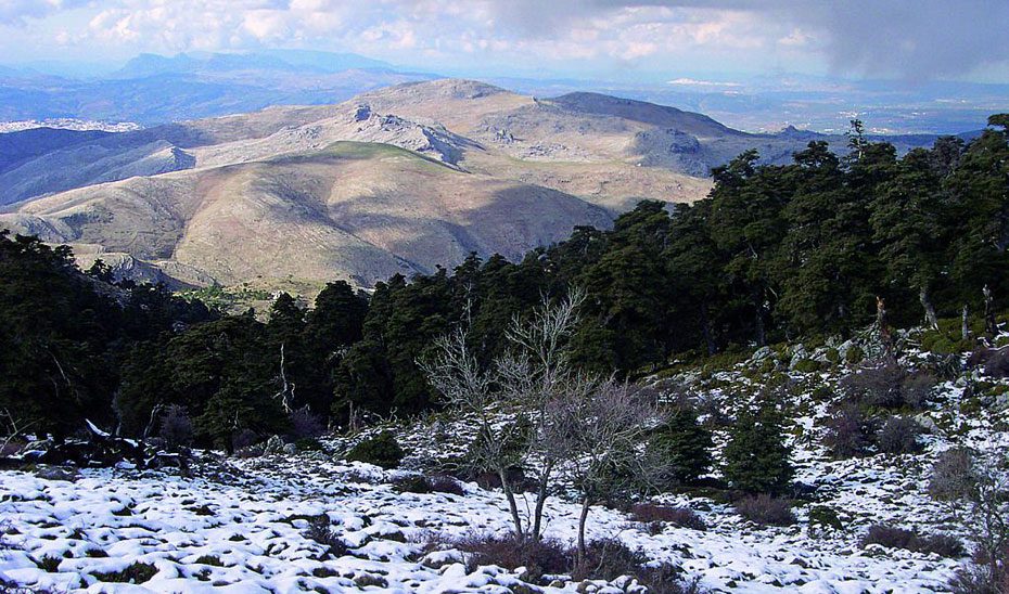 La Junta invierte cerca de 18,5 millones en el Parque Nacional Sierra de las Nieves desde 2021