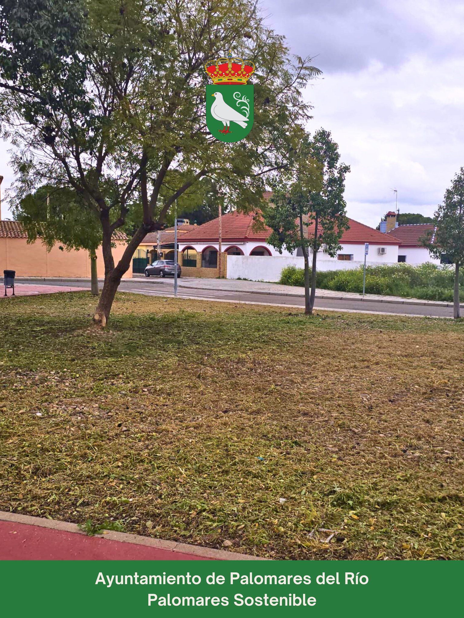 Palomares Sostenible Refuerza el Mantenimiento de Zonas Verdes en el Municipio