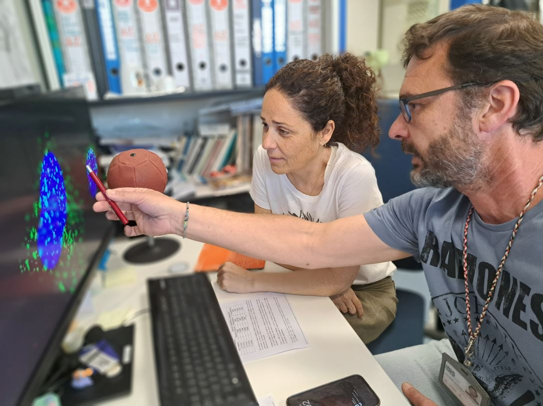 Identifican una molécula antiviral eficaz contra infecciones que carecen de tratamiento