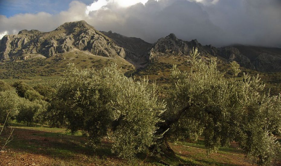 La Junta impulsa nuevas ayudas para educación ambiental en el medio rural andaluz