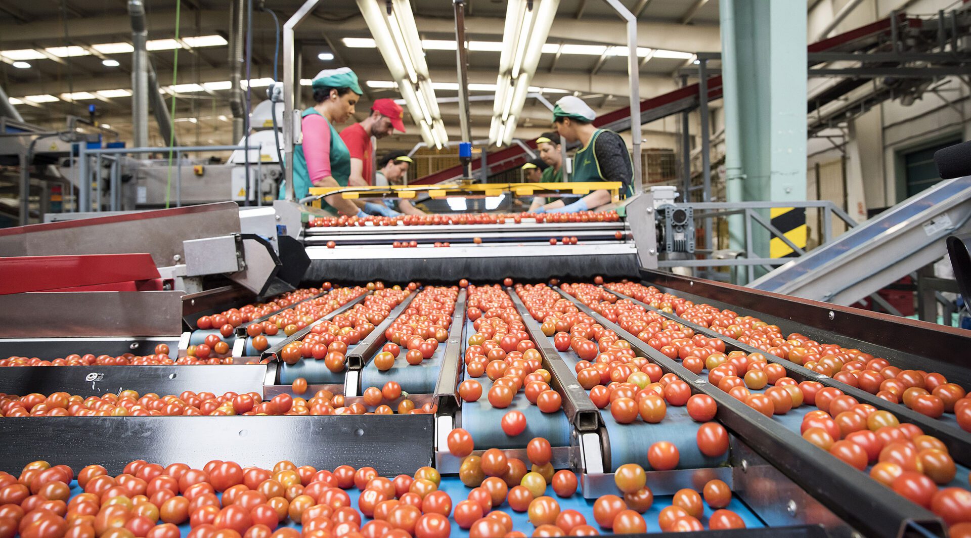La Junta apoya la unión de entidades asociativas agroalimentarias con 2,5 millones en ayudas