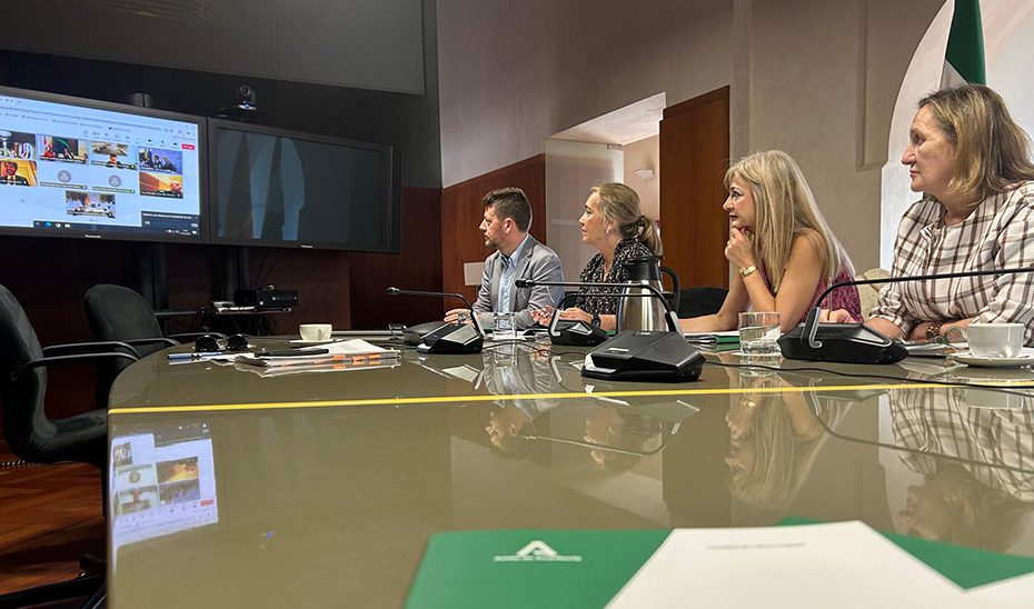 Andalucía lamenta que el Ministerio de Cultura haya reducido casi al 50% las ayudas a las salas de cine