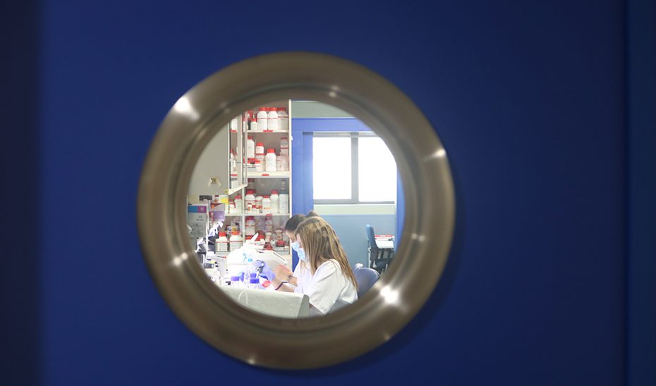 Más de un millar de pacientes participa en una investigación del lupus liderada desde Granada