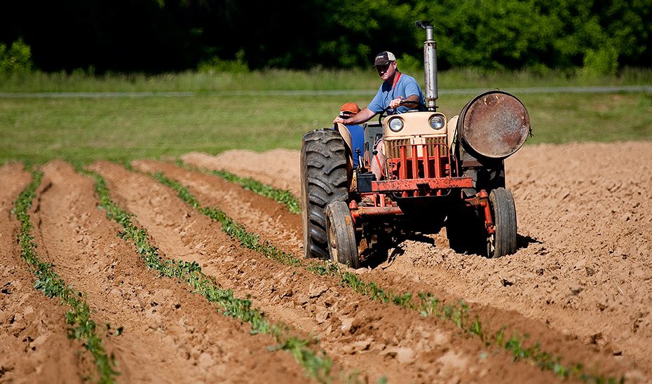 Muere un hombre tras volcar un tractor en  una finca de Villacarrillo (Jaén)