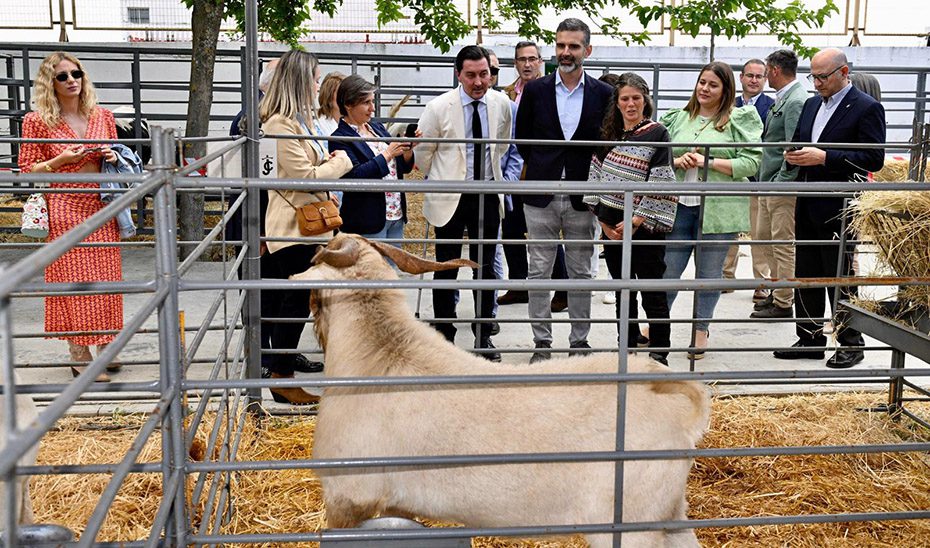 La Junta apuesta en Jaén por un sector ganadero que crezca fuerte al amparo de la nueva PAC
