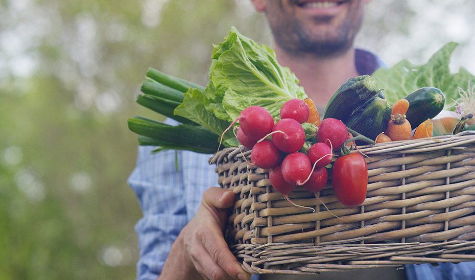 Más del 20% de la superficie de cultivos tropicales de Andalucía está dedicado a la producción ecológica