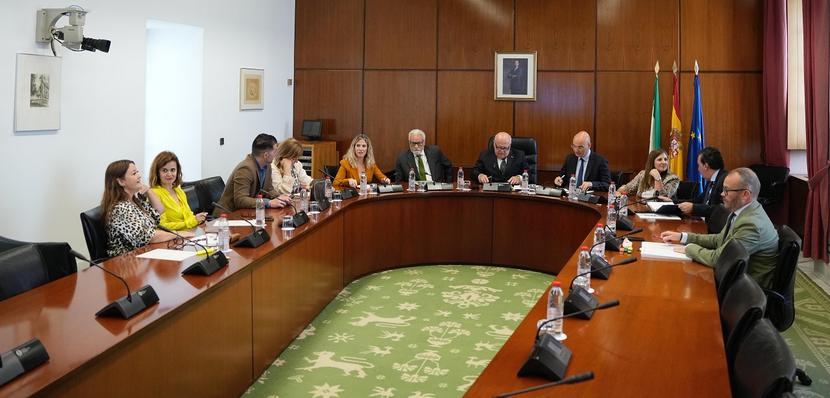 Presentación del Informe Anual 2024 en comisión parlamentaria