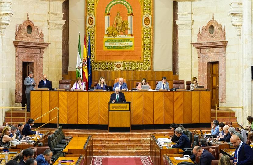El Defensor del Pueblo andaluz alerta en el Pleno del Parlamento de los retrasos en dependencia y salud