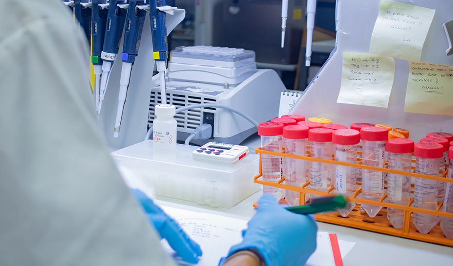 Convocadas ayudas por 3,3 millones para promover la investigación biomédica y en Ciencias de la Salud
