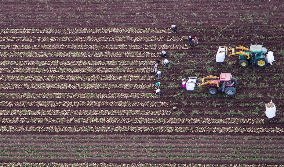 La Junta recibe más de 209.500 Solicitudes Únicas de ayudas de la Política Agraria Común para 2025
