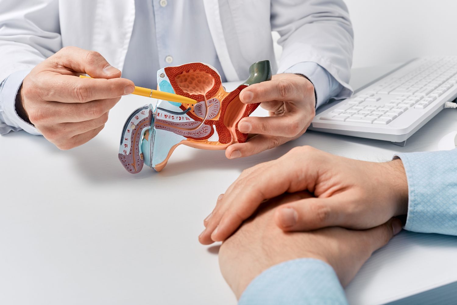 La US se suma al Día Mundial del Cáncer de Próstata bajo el lema ‘Hagamos de la prevención una tradición’