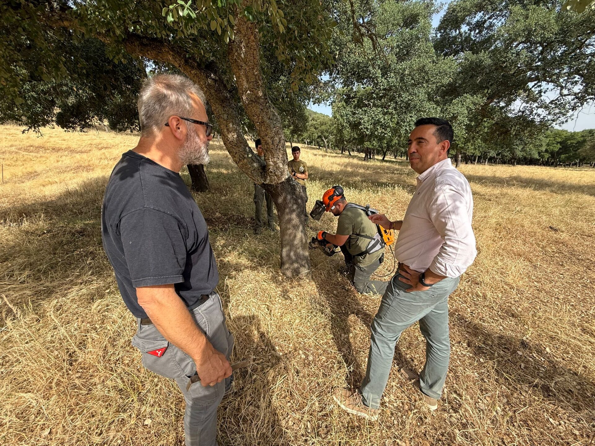 Gonzalo Domínguez en el comienzo de la campaña de descorche en el Monte San Antonio, “con técnicas tradicionales y contando con personas empleadas de la localidad”