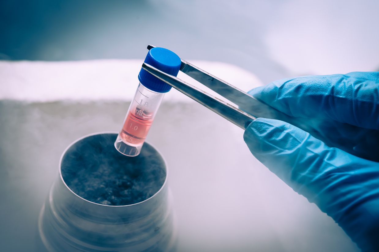 La US se integra en la primera red española para impulsar la investigación en criobiología