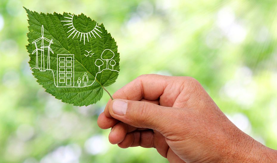 La Junta distingue con los Premios Andalucía de Medio Ambiente a referentes en sostenibilidad
