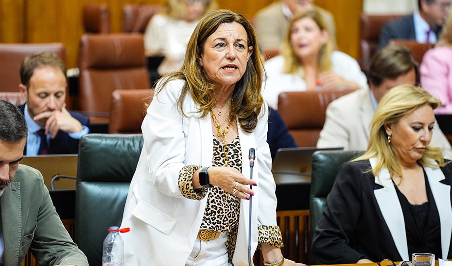 Crecen hasta 871 los centros del programa de Zonas de Transformación Social el próximo curso