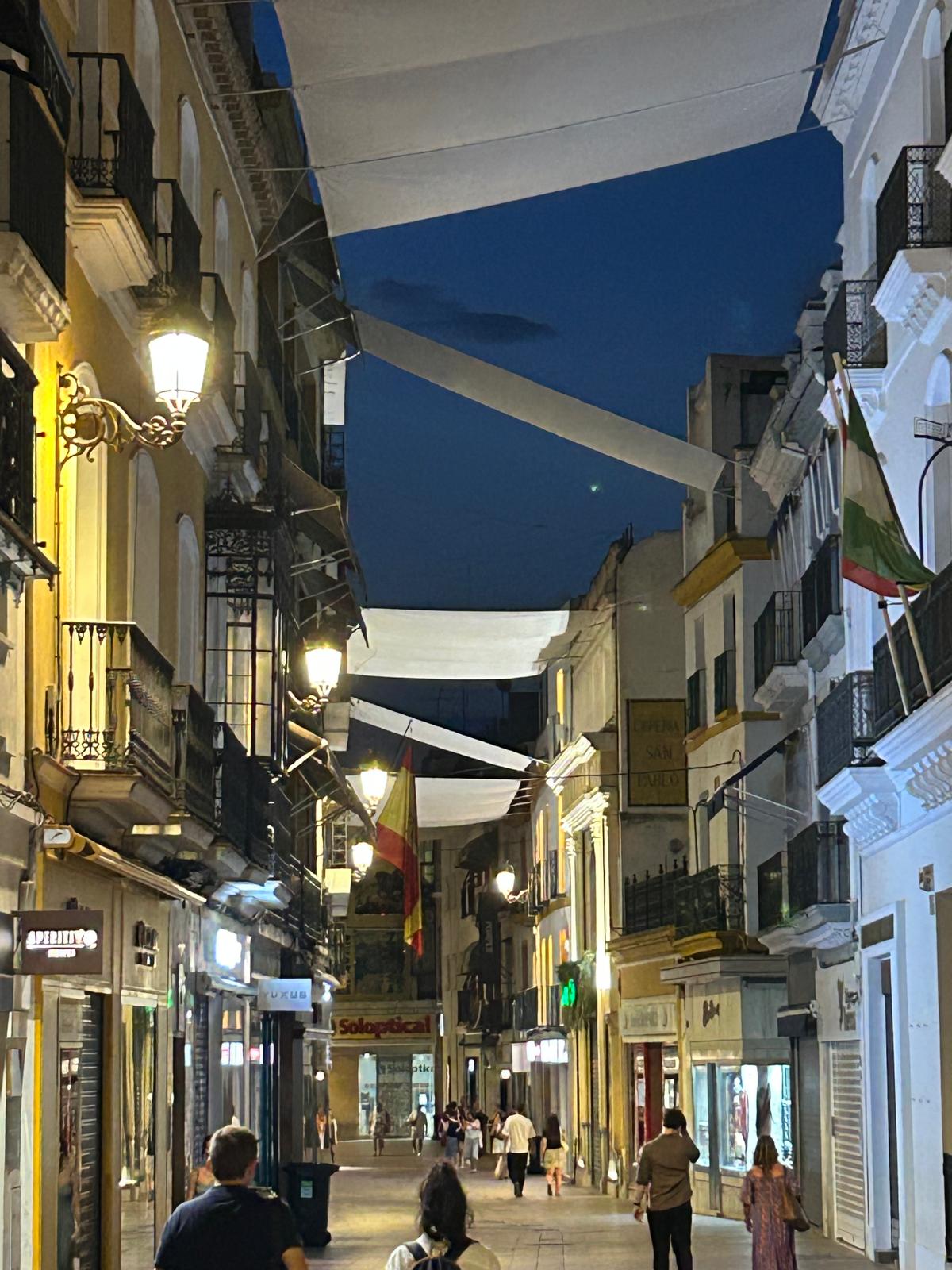 El Gobierno de Sanz renueva más de 18 500 luminarias de la red pública con tecnología LED