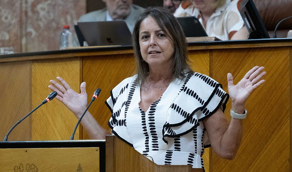 Andalucía invierte 211 millones en prevención y restauración de incendios en el periodo 2024-2025