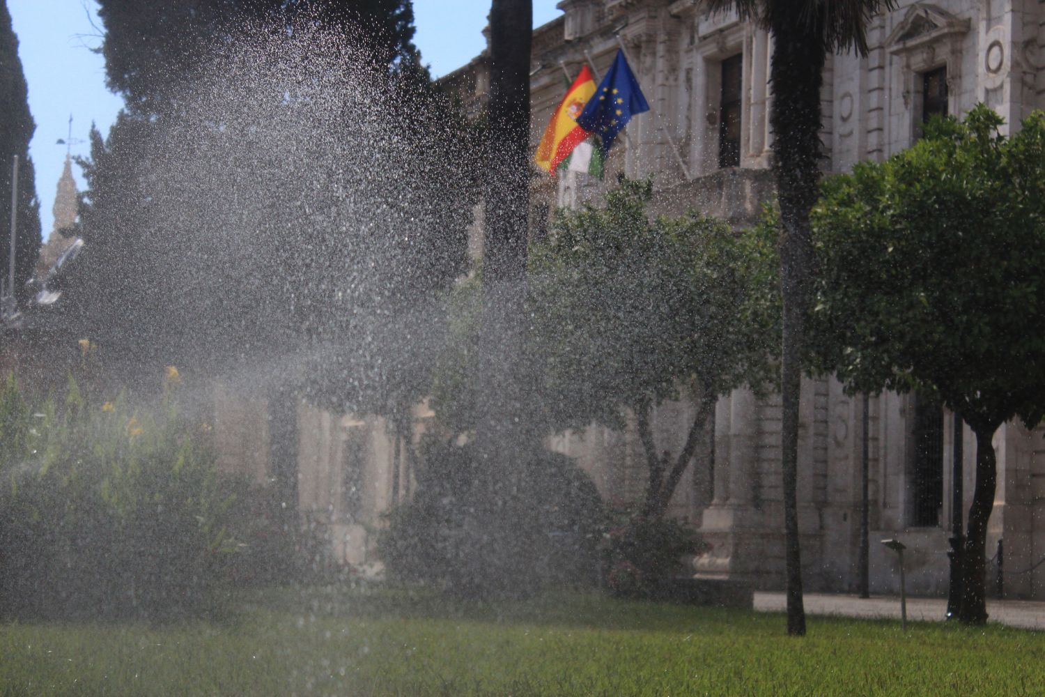 Actividades de verano en la Universidad de Sevilla: deporte, lectura y orientación profesional